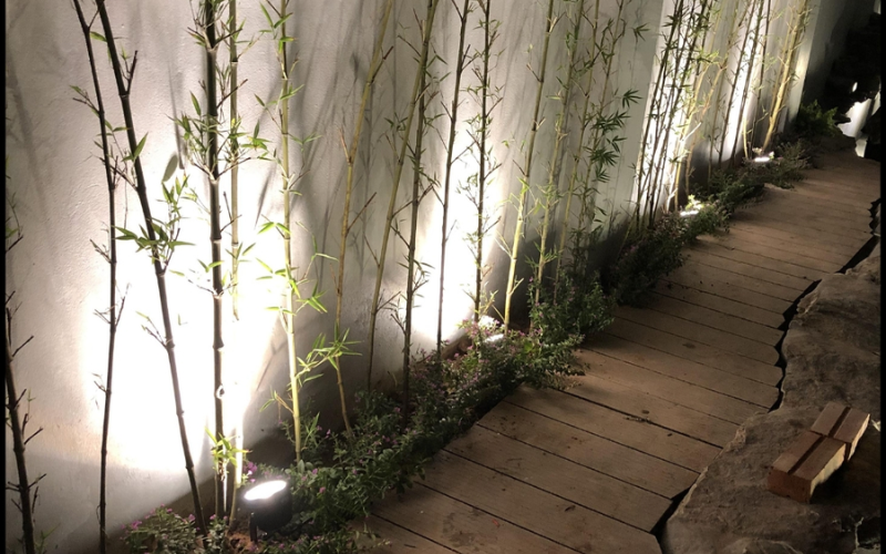 Đèn chiếu cây 5W-220V