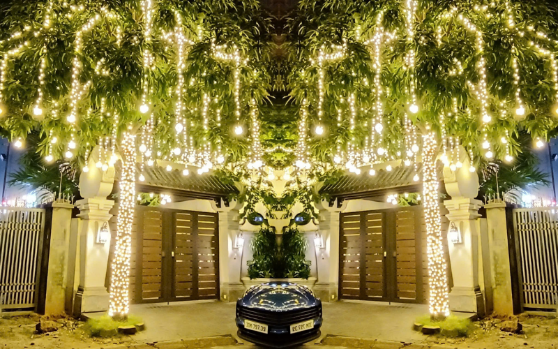 Quấn thân cây và thả chùm