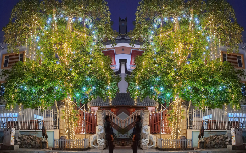 Quấn cây kết hợp dây đui và dây led