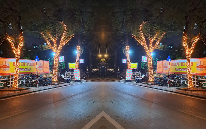 Quấn đèn LED quanh thân cây